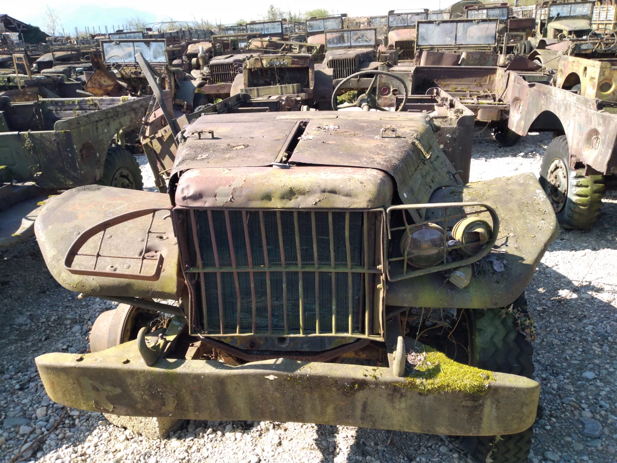 DODGE WC 51